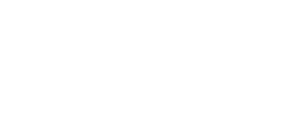 n1_logo